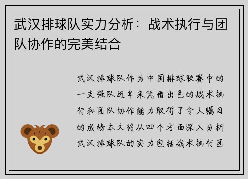 武汉排球队实力分析：战术执行与团队协作的完美结合