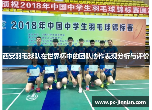 西安羽毛球队在世界杯中的团队协作表现分析与评价