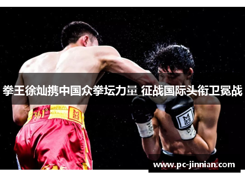 拳王徐灿携中国众拳坛力量 征战国际头衔卫冕战